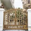 Cổng hoa văn đơn giản CN55